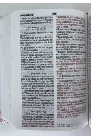 Image of Biblia RVR 1960 Bolsillo Símil Piel Rojo con Índice