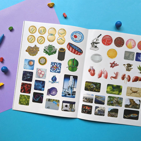 Image of WONDERS OF LEARNING WOLNBS25 6" EDUCATIONAL BOX SET