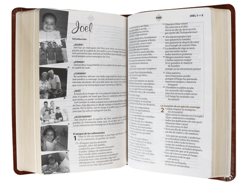 Image of Biblia TLA de Estudio de Mi Familia Mediana Letra Chica Símil Piel Café