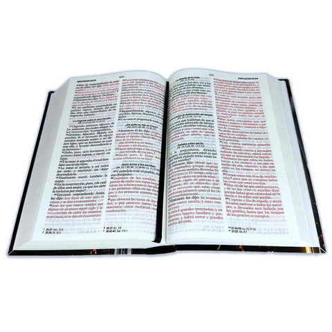 Image of BIBLIA RVR 1960 LETRA GRANDE 12.5 PUNTOS TAMANO MANUAL TAPA FLEX ESPADA