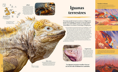 Image of Islas Galápagos