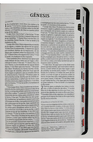 Image of Biblia RVR 1960 Ultrafina Marrón Piel Fabricada con Índice