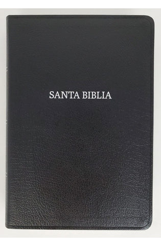 Image of Biblia RVR 1960 Letra Grande Tamaño Manual Negro