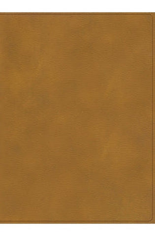 Image of Biblia RVR 1960 Ilustrada Tierra Santa Café Símil Piel