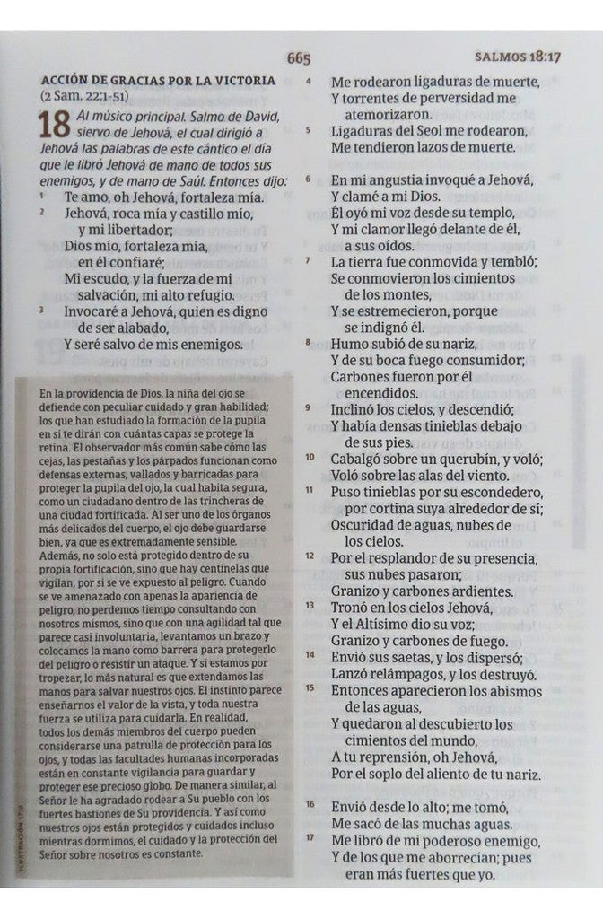 Biblia RVR 1960 de Estudio Spurgeon Marrón Claro Tela