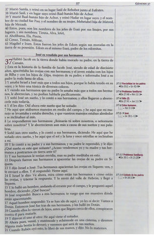 Image of Biblia RVR 1960 de Estudio Thompson Marrón Duo