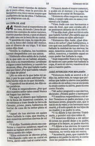 Image of Biblia RVR 1960 Letra Grande Tapa Dura León