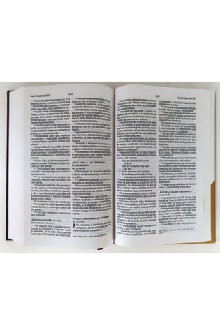Image of Biblia RVR 1960 Letra Grande Tapa Dura León