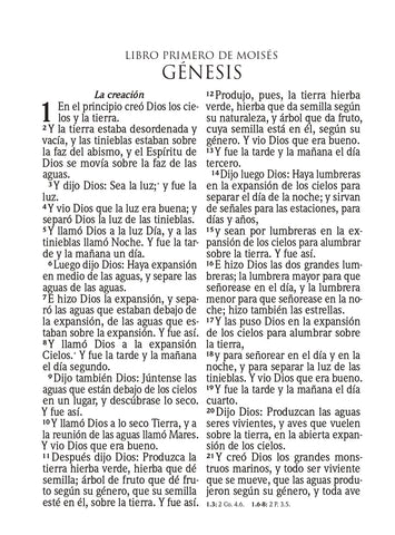 Image of Biblia RVR 1960 Letra Súper Gigante Símil Piel Salvia Claro