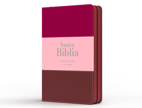 Image of Biblia RVR 1960 Letra Gigante 14 puntos Símil Piel Tricolor Fucsia Rosado Rojo Granate con Cierre e Índice