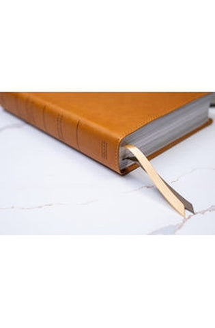 Image of Biblia RVR 1960 Ilustrada de la Tierra Santa Marrón Símil Piel con Índice