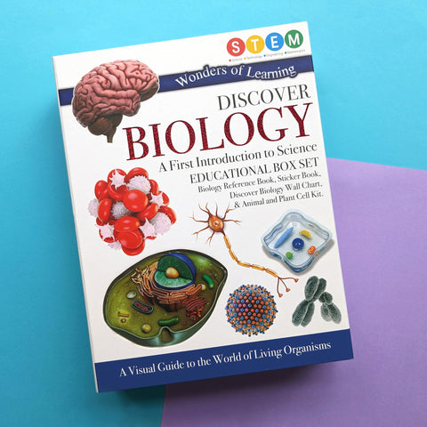 Image of WONDERS OF LEARNING WOLNBS25 6" EDUCATIONAL BOX SET