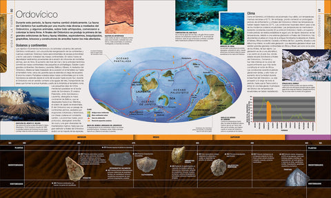 Image of Dinosaurios y Vida Prehistórica