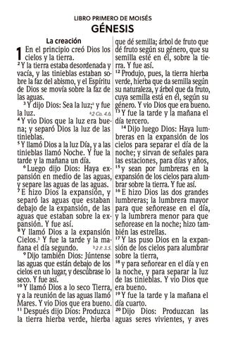 Image of Biblia RVR 1960 Compacta Letra Grande 11 puntos Símil Piel Andina Borgoña