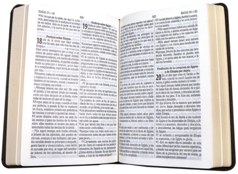 Image of Biblia RVR 1960 Pastoral Mediana Letra Grande Símil Piel Café