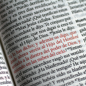 Image of Biblia RVR 1960 Letra Grande Tamaño Manual Flores Naranjas Tapa Dura