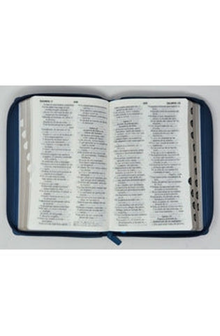 Image of Biblia RVR 1960 Letra Grande Tamaño Manual Azul Acero con Cierre e Índice