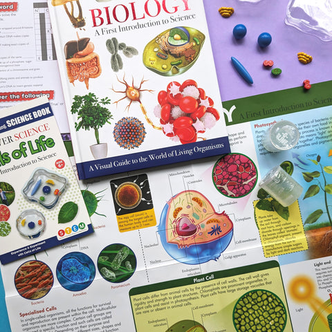 Image of WONDERS OF LEARNING WOLNBS25 6" EDUCATIONAL BOX SET