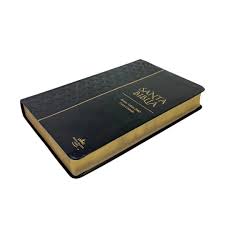 Image of Biblia RVR 1960 Tamaño Manual Letra Grande 12 pt SÍmil Piel Rosa Azul Colección Bitono