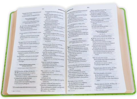 Image of Biblia RVR 1960 Tamaño Manual Letra Grande 12 pt SÍmil Piel Rosa Azul con Cierre e Índice Bitono