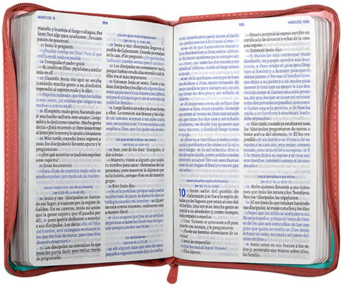 Image of Biblia TLA Valiosa Mediana Letra Grande Símil Piel Rosa Verde