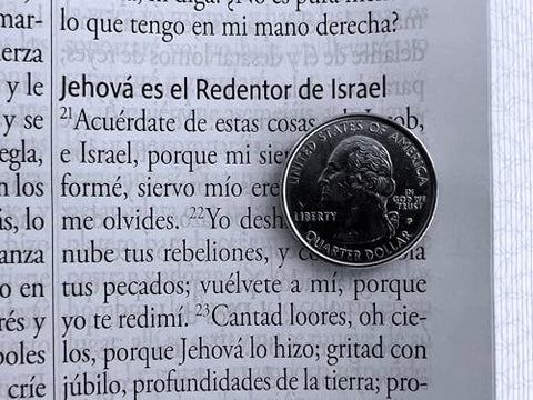 Image of Biblia RVR 1960 Letra Gigante Símil Piel Verde con Pájaros Cantos Pintados