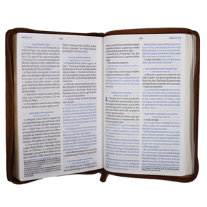 Biblia TLA El Camino La Verdad y La Vida Mediana Letra Grande Símil Piel Miel Código QR