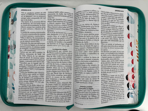 Image of Biblia RVR 1960 Letra GrandeTamaño Manual Jardín Turquesa Cierre Índice Símil Piel