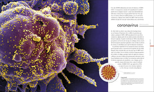 Vida Microscópica