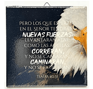 Plaqué Cerámico. Nuevas Fuerzas