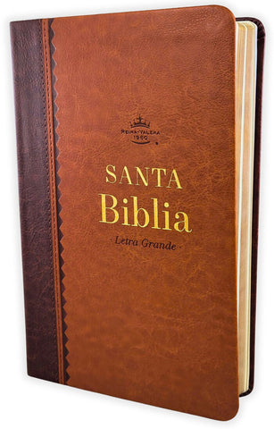 Image of Biblia RVR 1960 Tamaño Manual Letra Grande 12 pt SÍmil Piel Negro Gris Bitono