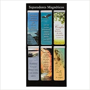 Separadores Magnéticos Clásicos