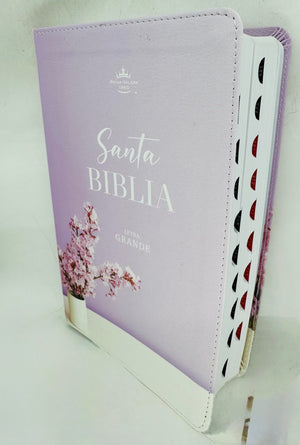 Biblia RVR 1960 Letra Grande Mamual Rosa Flores Índice