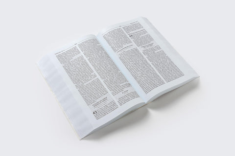 Image of Biblia de América Católica Económica Rústica