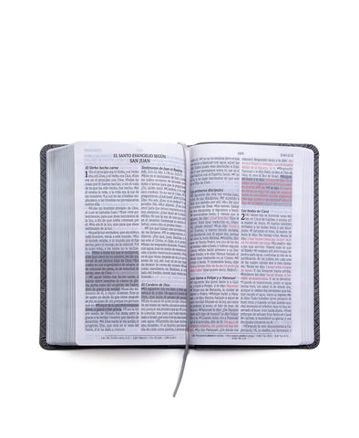 Image of Biblia RVR 1960 Letra Grande Tamaño Manual Gris Símil Piel