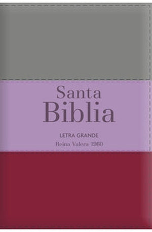 Biblia RVR 1960 Letra Grande Tamaño Manual Tricolor Marrón Lila Claro Violeta con Cierre con Índice