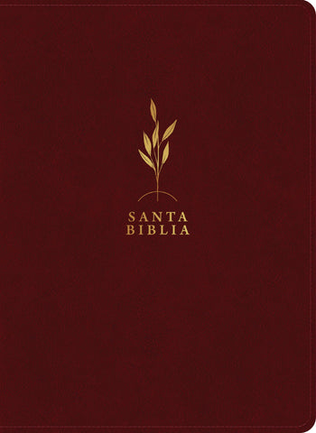 Image of Biblia RVR 1960 de Estudio del Diario Vivir Letra Grande Símil Piel Vino Tinto Letra Roja