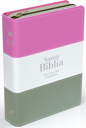 Biblia RVR 1960 Compacta Letra Grande 11 puntos Símil Piel Magenta Verde Glacial Verde Grisaceo con Cierre y Índice