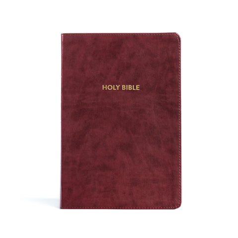 Image of KJV RAINBOW STUDY BIBLE, BURGUNDY LT, IDX