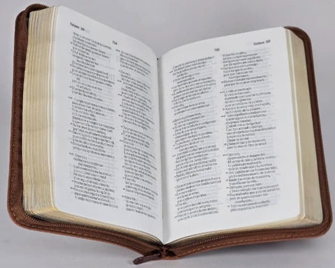 Image of Biblia TLA Chica Letra Chica Símil Piel Café Cierre