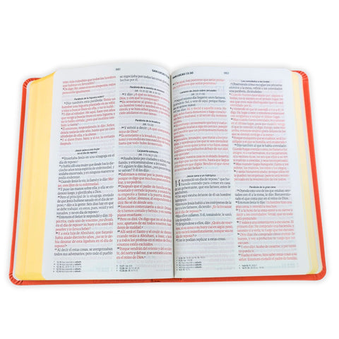 Image of Biblia RVR 1960 Tamaño Manual Letra Grande 12 pt SÍmil Piel Lila Morado con Cierre Bitono