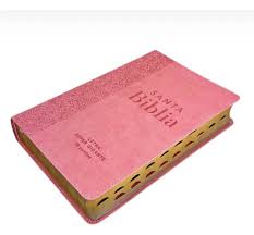 Biblia RVR 1960 Letra Súper GiganteTapa dura Rosa Manual