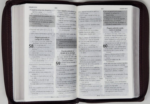 Image of Biblia RVR 1960 de Promesas Letra Grande Tamaño Manual Marrón Líneas Simil Piel con Cierre