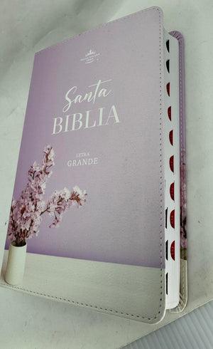 Biblia RVR 1960 Letra Grande Mamual Rosa Flores Índice