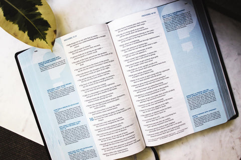 Image of NIV, QUEST STUDY BIBLE, LARGE PRINT, BONDED LEATHER, BLACK, COMFORT PRINT: THE ONLY Q AND A STUDY BIBLE
