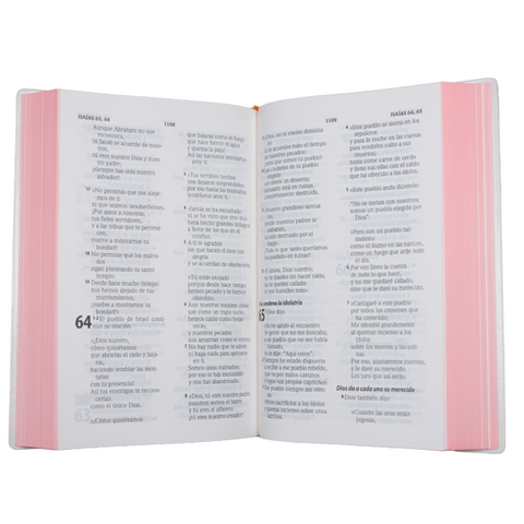 Image of Biblia TLA Mediana Letra Grande 11 Puntos Vinil  Canto Rosa Lustre