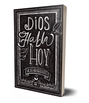 Biblia DHH Dios Habla Hoy Ultrafina Tiza Símil Piel