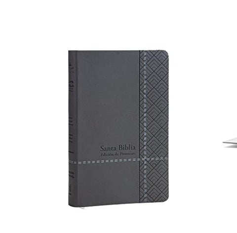 Image of Biblia RVR 1960 Letra Grande Tamaño Manual Gris Símil Piel