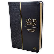 Image of Biblia RVR 1960 Tamaño Manual Letra Grande 12 pt SÍmil Piel Rosa Azul Colección Bitono