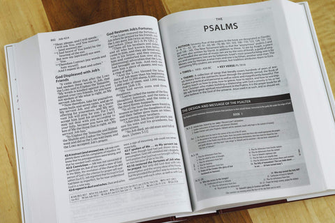 Image of THE AMPLIFIED STUDY BIBLE, HARDCOVER